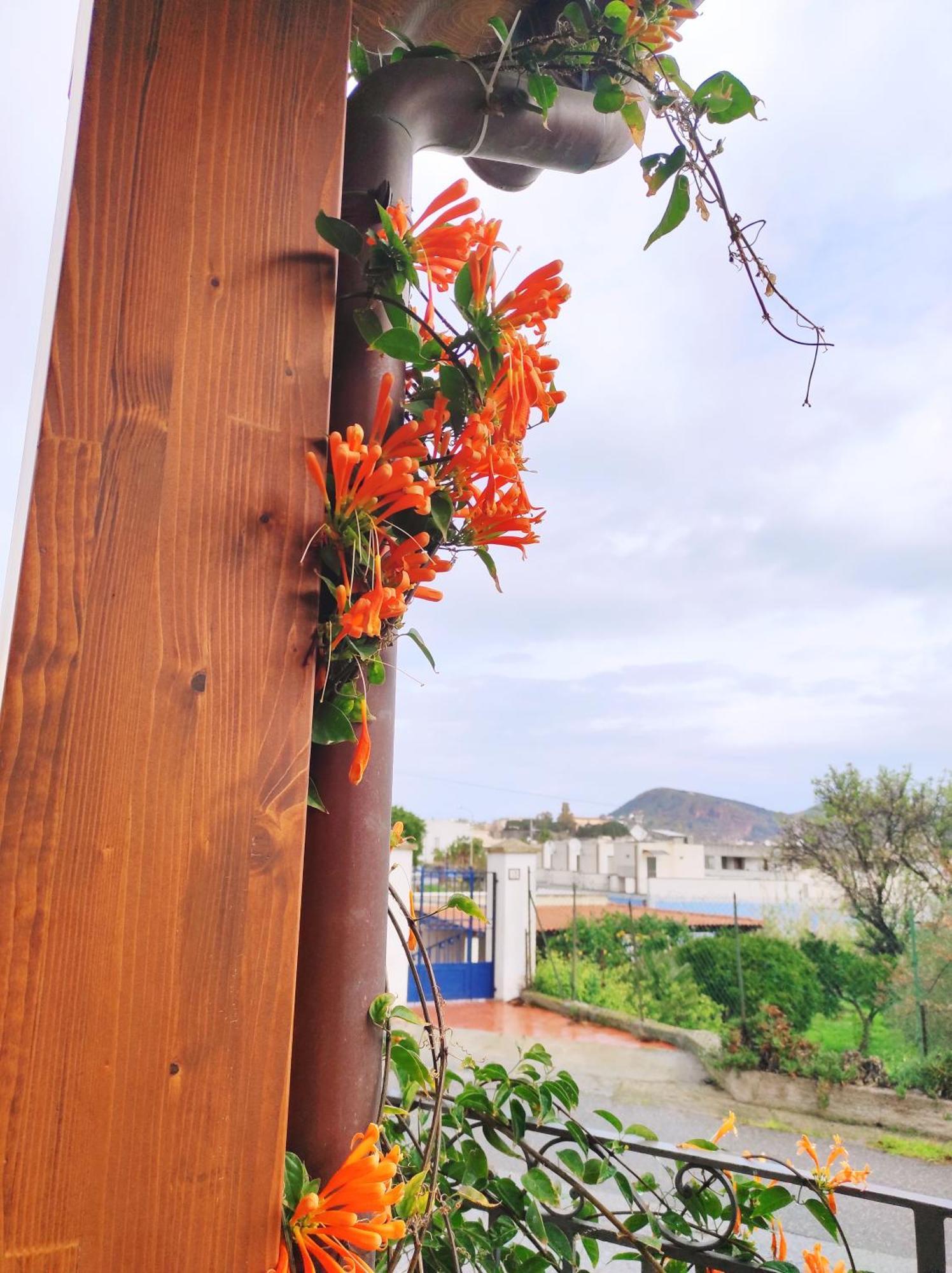 Holiday Home Mennulita Lipari  Exterior photo